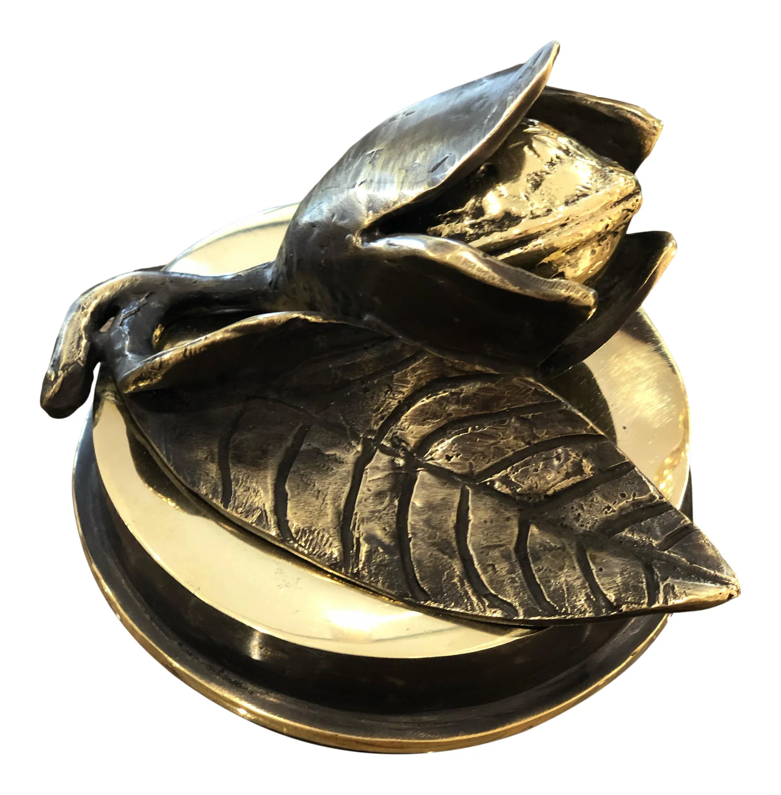 Nut Flower — bronze sculpture by Veaceslav Jiglitski